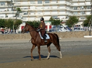  Horse riding in Nantes 